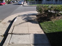 Trip n' Fall Sidewalk