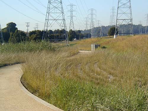 Walking Track in Field