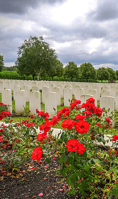 Cemetery with poppies